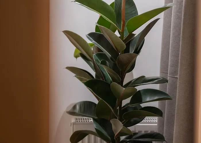 37 2 Heaven Lägenhet