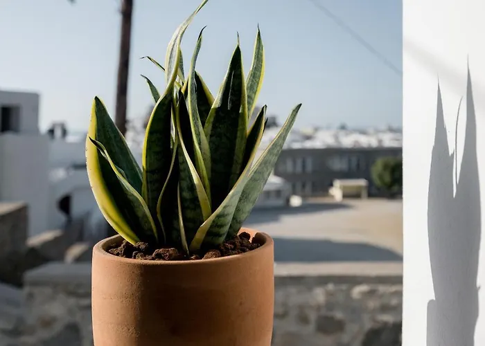 Lägenhet 37 2 Heaven