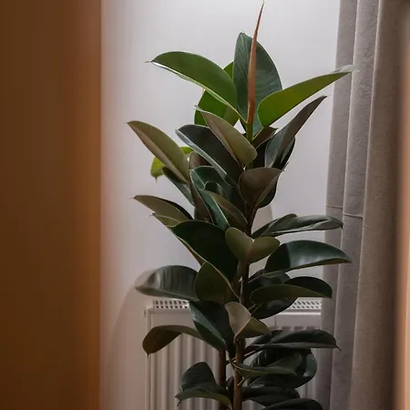 37 2 Heaven דירה