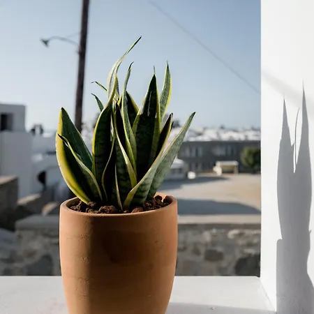 דירה 37 2 Heaven